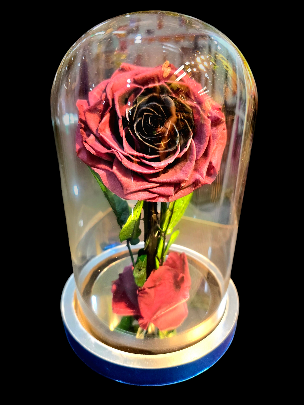 Preserved flower lasting forever 3-唯一 (永生花）