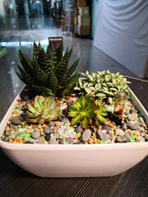 Load image into Gallery viewer, Lucky Plant - Elegant Floral Gift Boutique