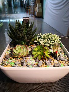 Lucky Plant - Elegant Floral Gift Boutique