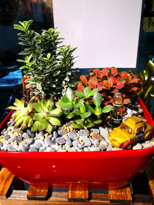 Lucky Plant - Elegant Floral Gift Boutique