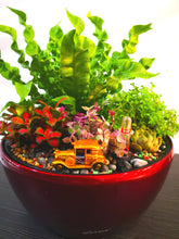 Load image into Gallery viewer, Lucky Plant - Elegant Floral Gift Boutique