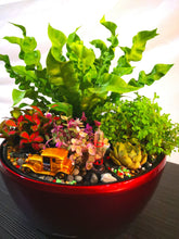 Load image into Gallery viewer, Lucky Plant - Elegant Floral Gift Boutique