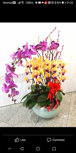 flower Arrangement